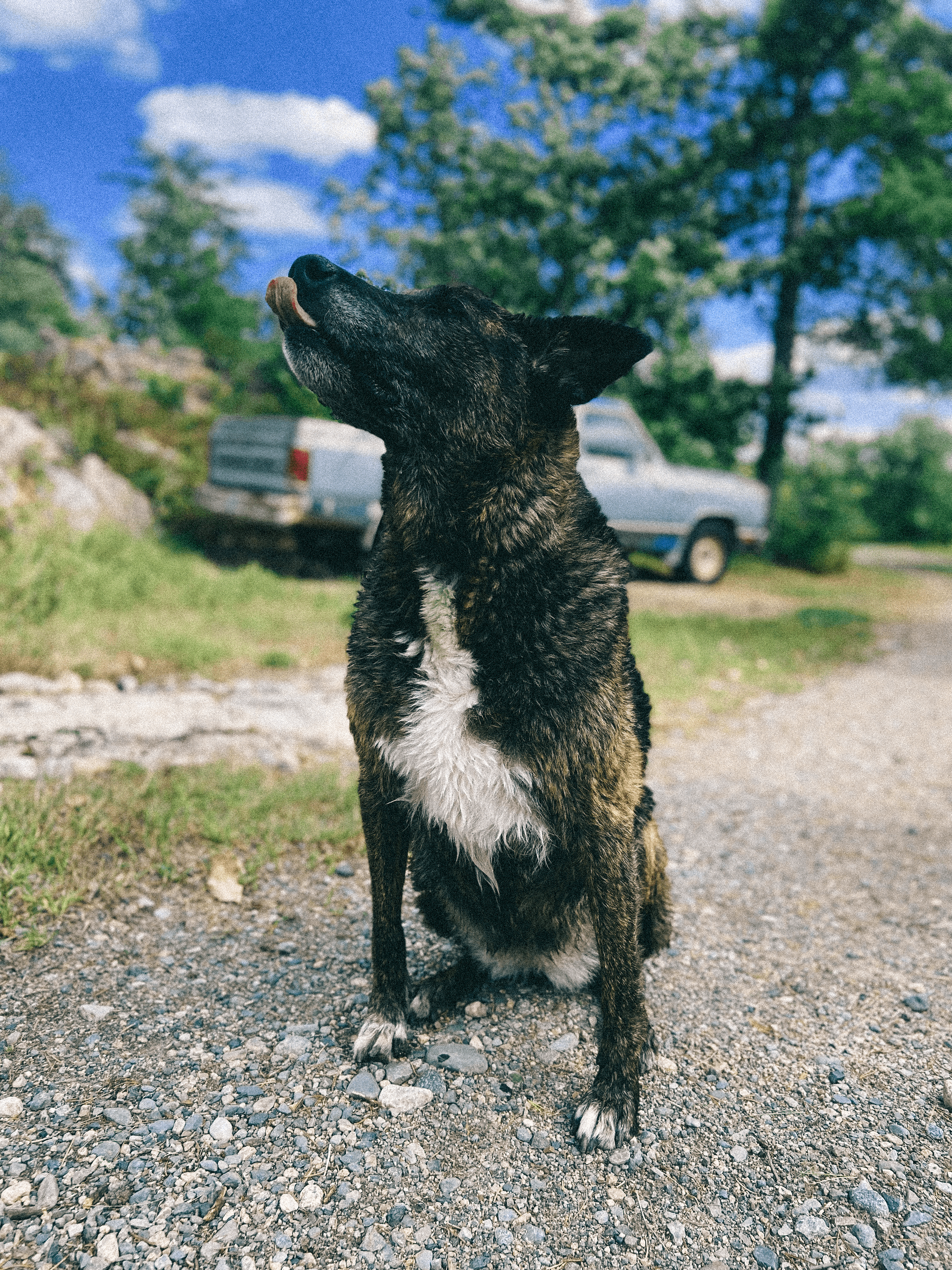 Plain James craftsmanship